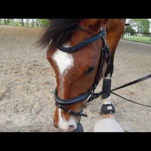 Meet your Posher, Isabela